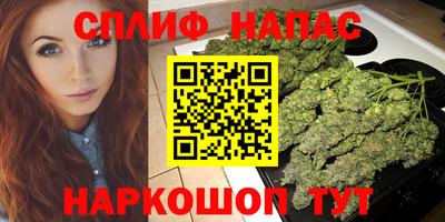 индика Малоярославец