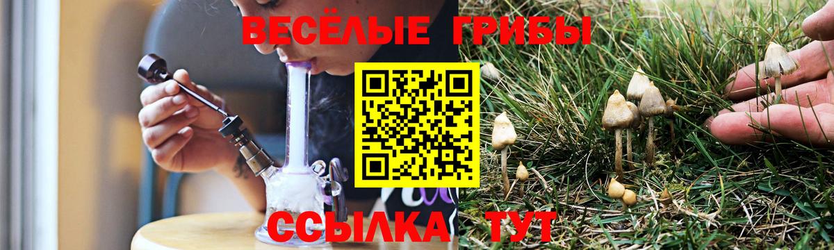 Усинск  где купить   Вход с VPN  Псилоцибиновые грибы мицелий 